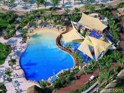 Jumeirah Beach Hotel 37